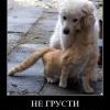 всем кому сейчас грустно))