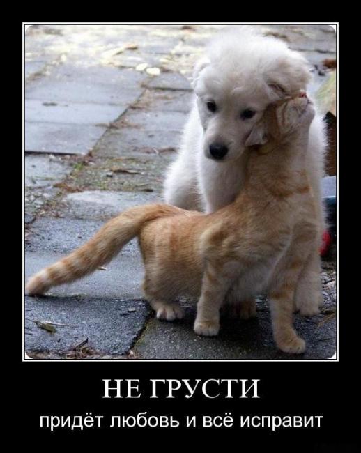 всем кому сейчас грустно))