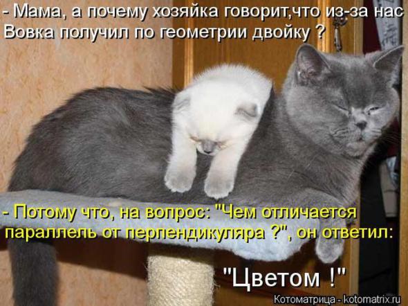 0fd0bdb2b3145572c5f46458176 prev
