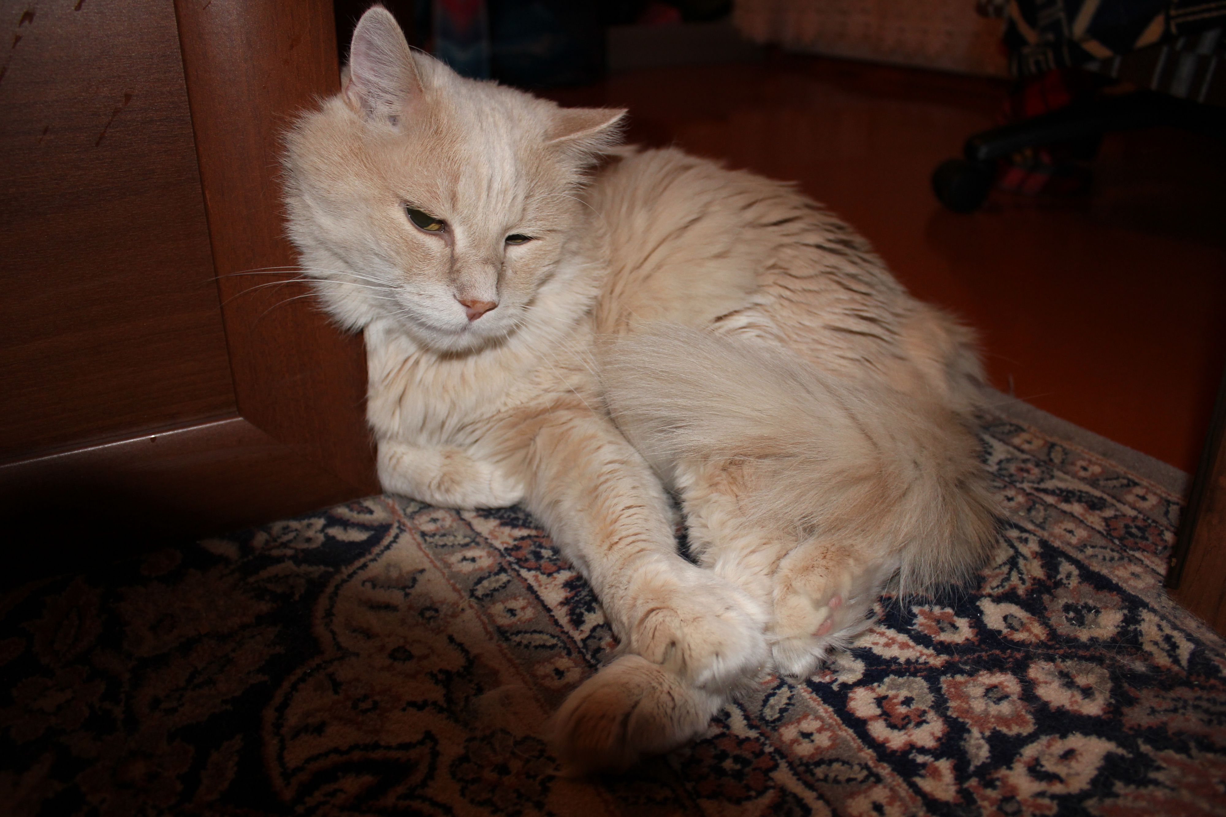 Задумавшися как то.