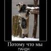 931075 potomu-chto-myi 931075 potomu-chto-myi