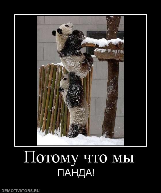 931075 potomu-chto-myi