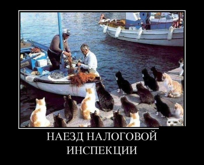 Наезд...