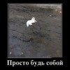 Просто будь собой Просто будь собой
