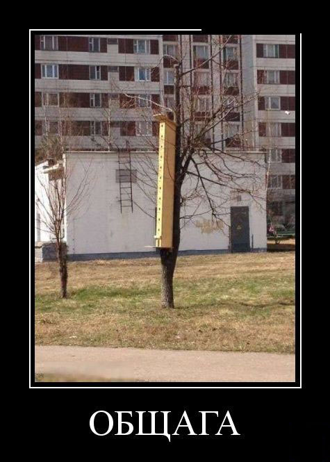 Общага
