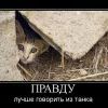 Котейка
