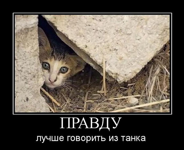 Котейка