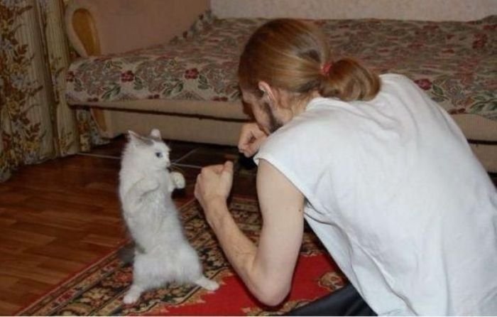 махача