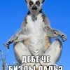 бизды дать?)))) бизды дать?))))