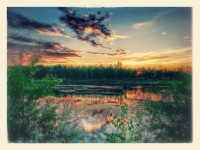 гугловскоавтокреативный осенний Китой)))))