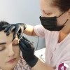 Ускоренный курс бровиста
