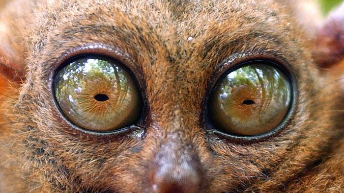 вот это шары огогооо