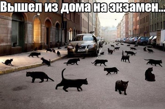 На экзамен...