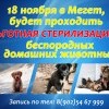 Льготная стерилизация в Мегете Льготная стерилизация в Мегете
