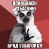 брад узбагойзя))))))