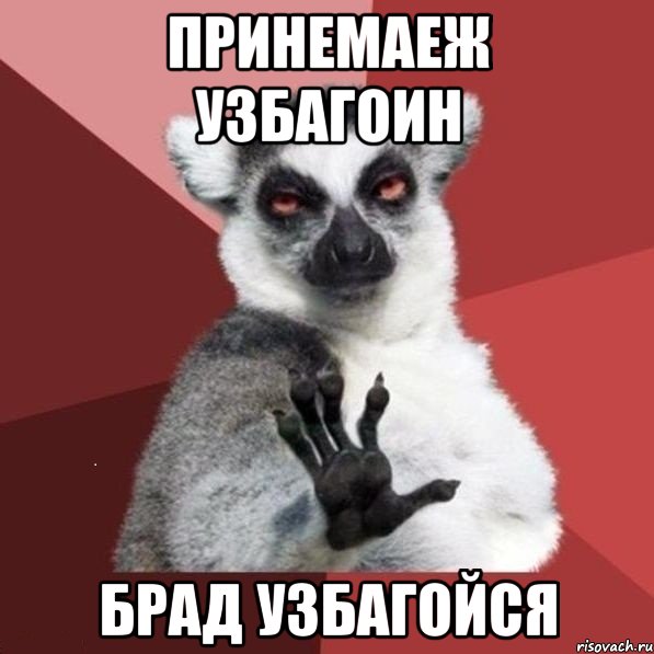 брад узбагойзя))))))