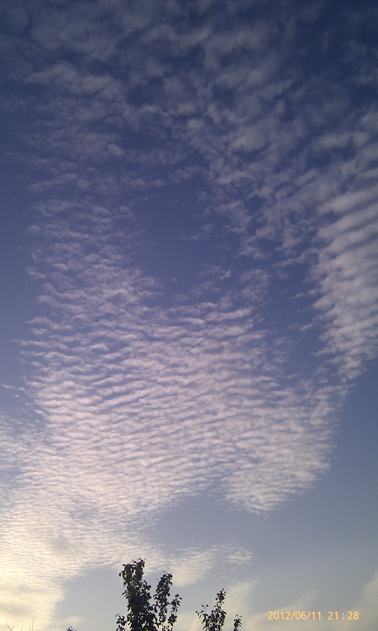 Очередное облако)))))