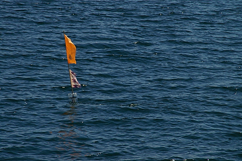 флажки в море - они повсюду