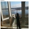 А за окном весна