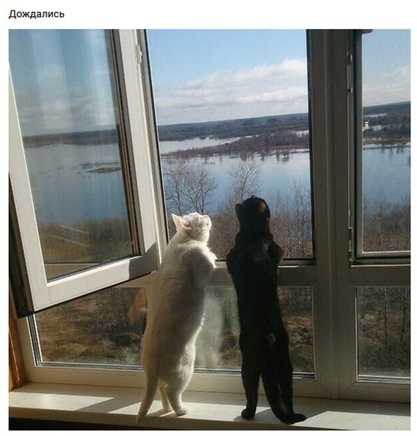 А за окном весна