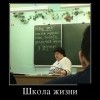 Школа жизни Школа жизни
