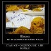 Содержание