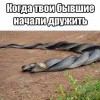 Дружба