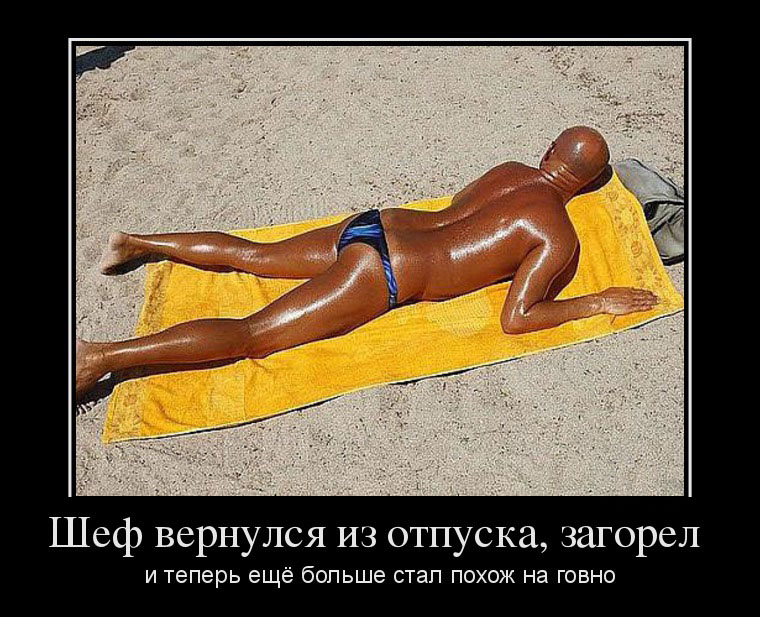 Шеф вернулся из отпуска