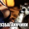 узбагоинчиги)))))