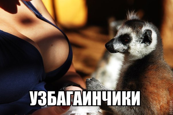 узбагоинчиги)))))