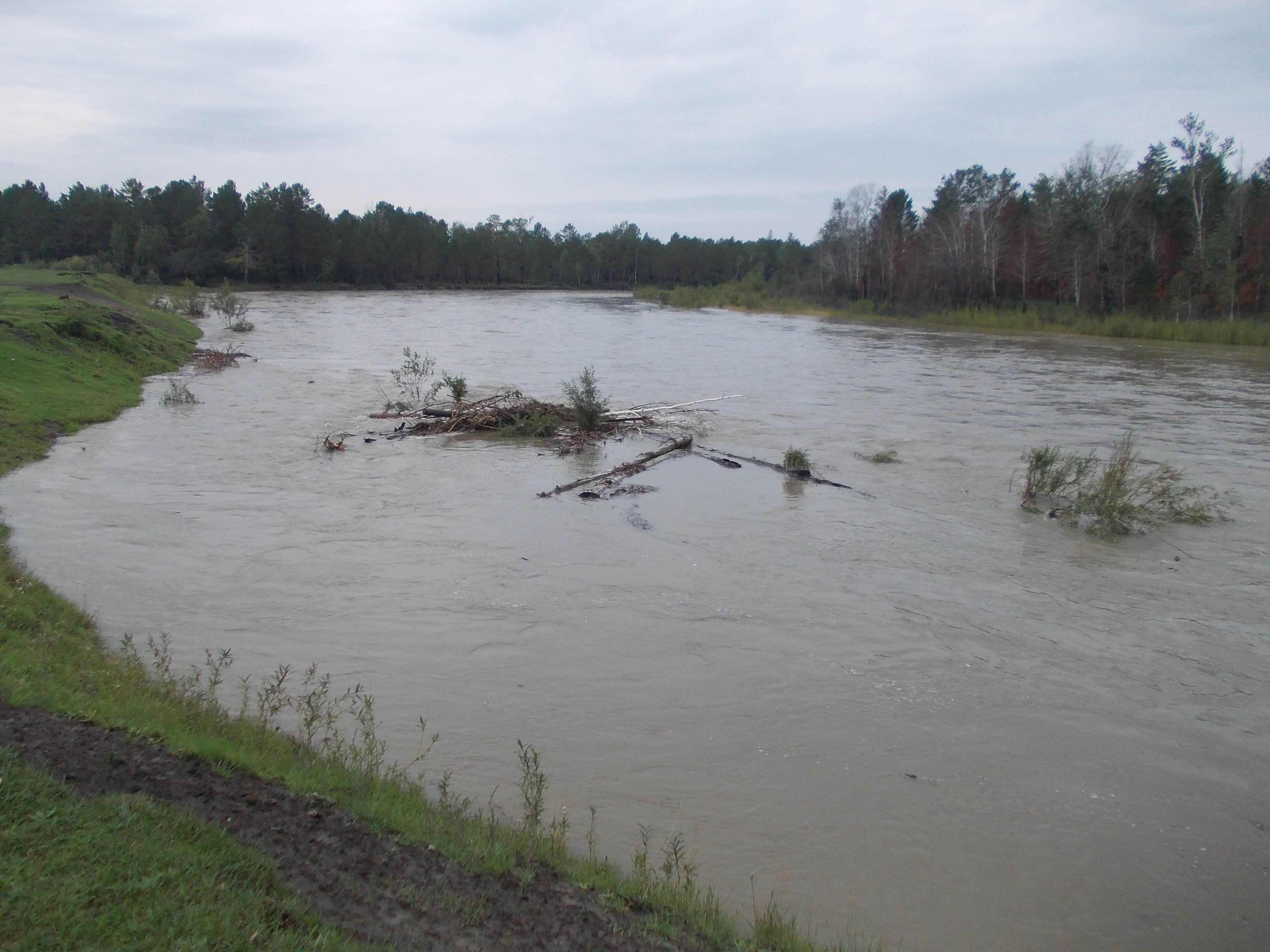 Природа разбушевалась. Чебогоры 17.08.2015