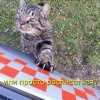 5cc3368a91f87a47e7af4bf7200 prev 5cc3368a91f87a47e7af4bf7200 prev
