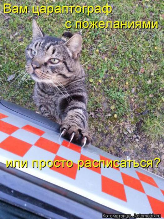 5cc3368a91f87a47e7af4bf7200 prev