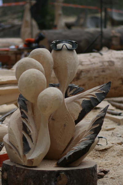 Цветы Ивана Зуева. Фото Регины Ступурайте