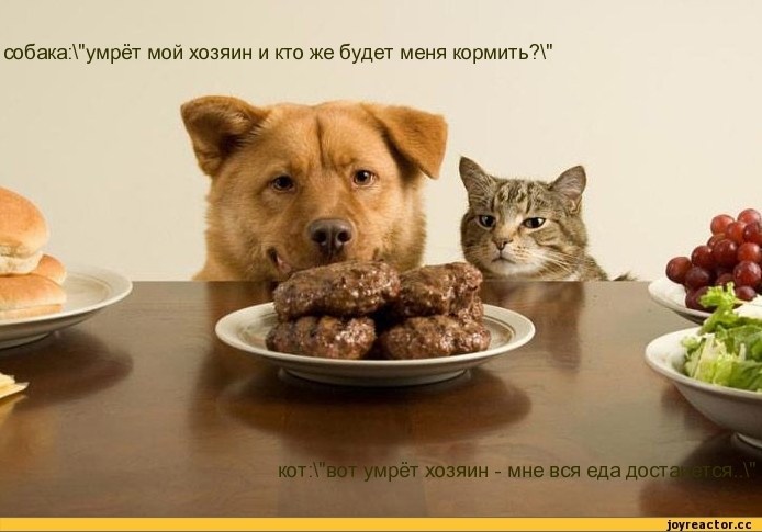 Разные судьбы,разные взгляды..))