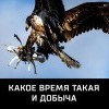 Времена Времена