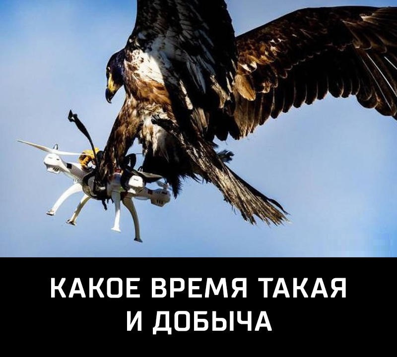 Времена