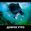 Доброе утро
