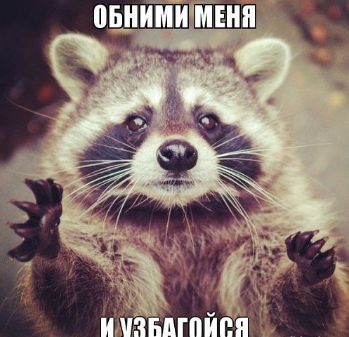 абними и узбагойзя))))))