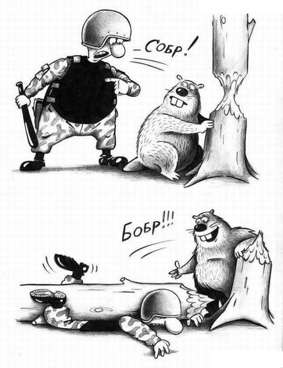 Собр-бобр