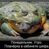 Понедельник.Утро...