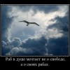 Раб в душе