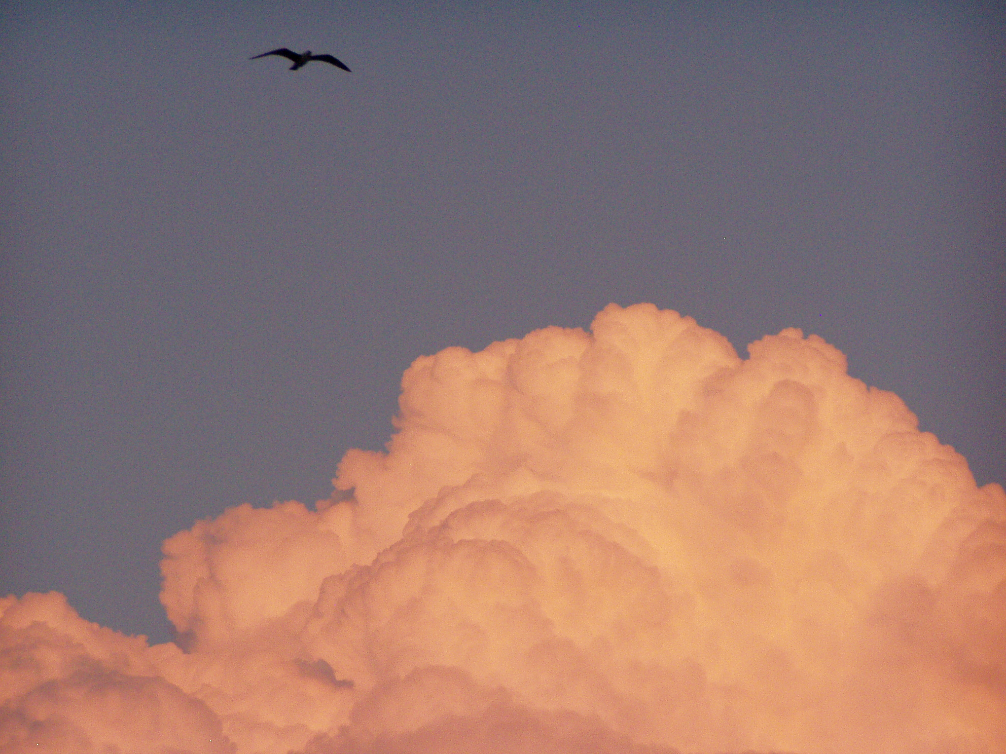 тоже облако