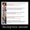Экспертное мнение Экспертное мнение