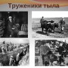 тыл тыл