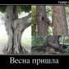 Весна пришла! Весна пришла!