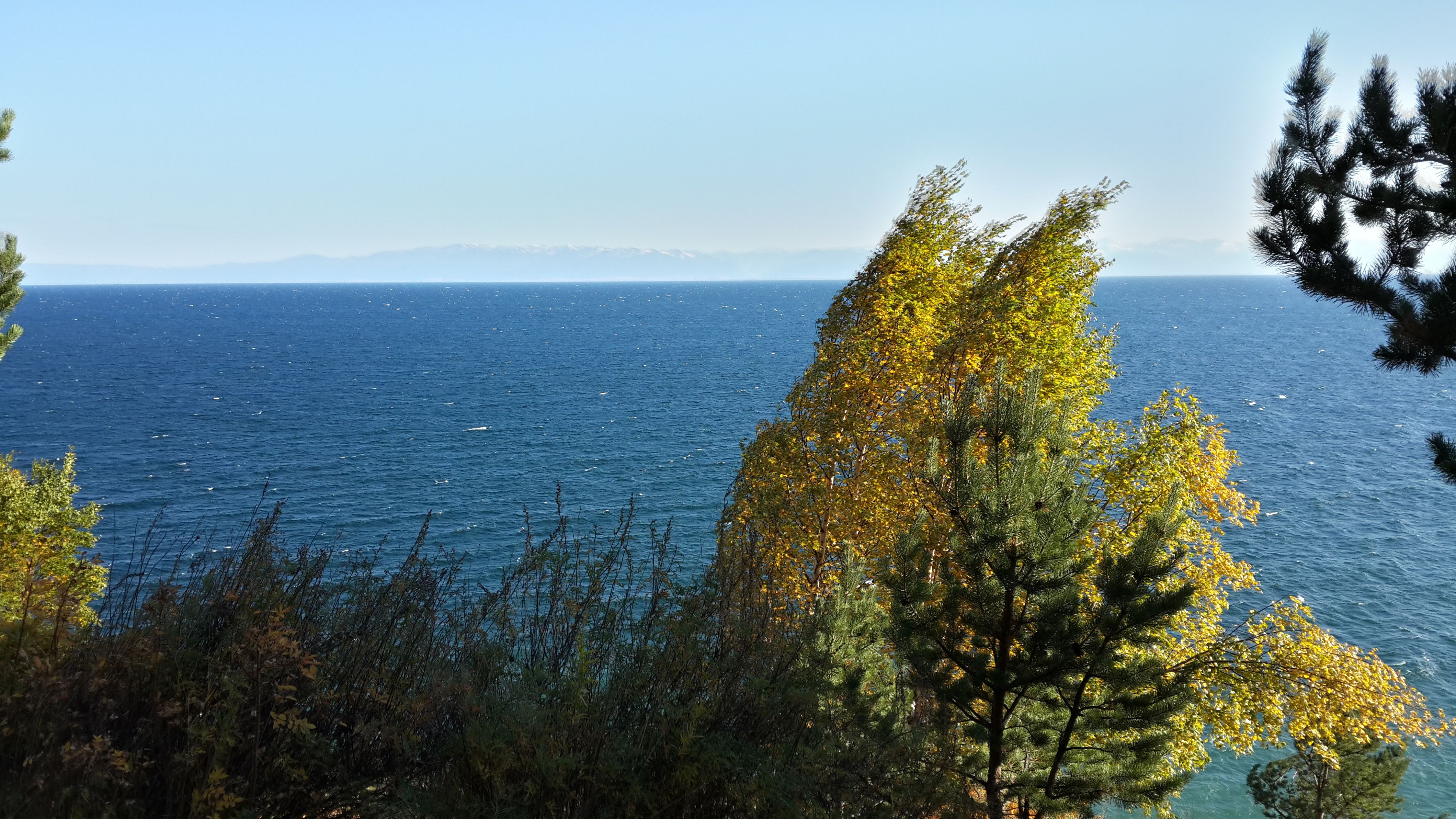 ветреная осень