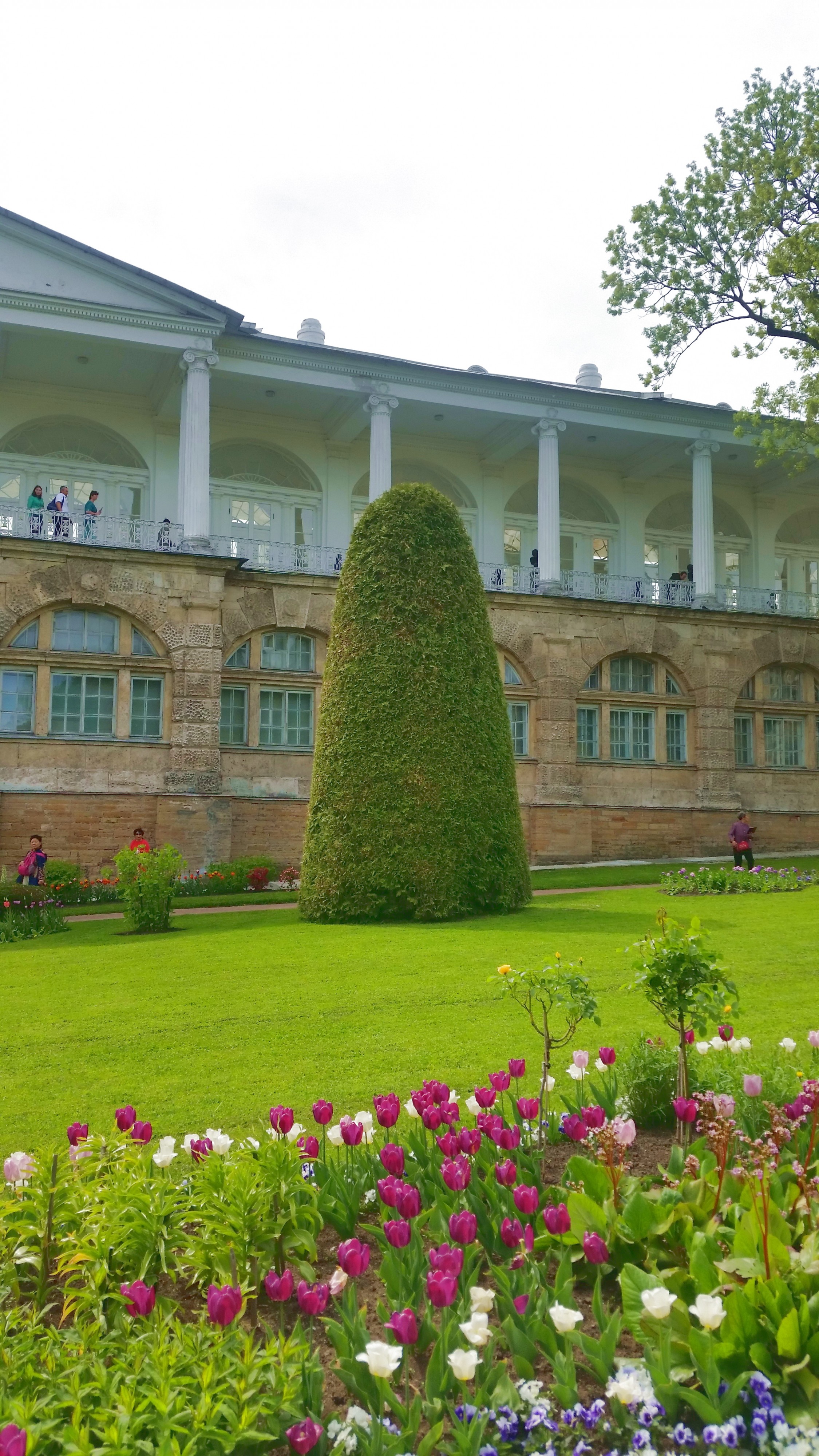 а вот оно - дерево!!!