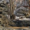 кот