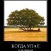 Упал и не сдаешься